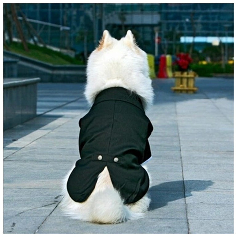 http://cbu01.alicdn.com/img/ibank/10820730506_179524885.jpg
