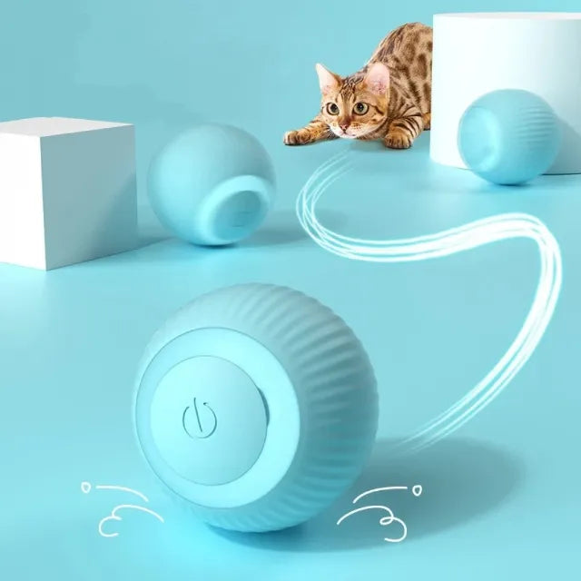 Bolinha Interativa Pet Usb Recarregável