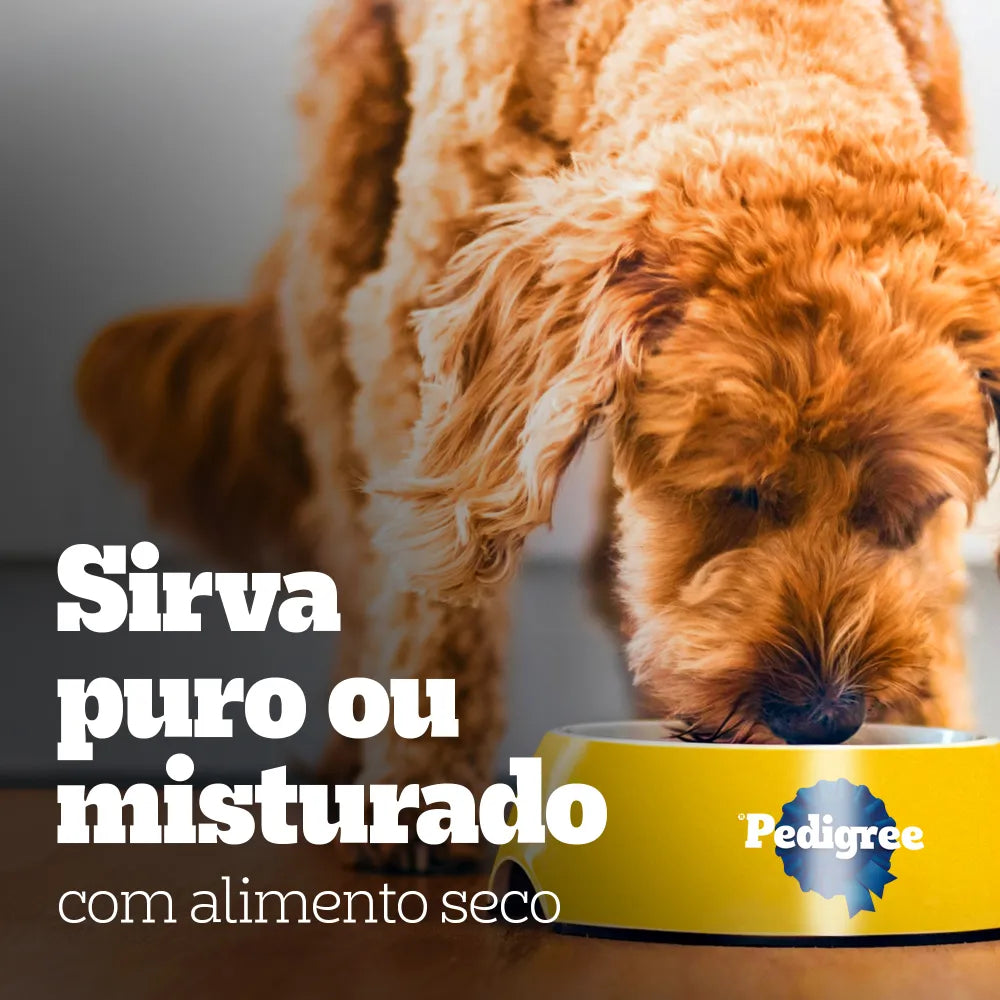 Pack Ração Úmida Pedigree para Cães Adultos Raças Pequenas Sachês Carne 100g - Caixa com 18 unidades