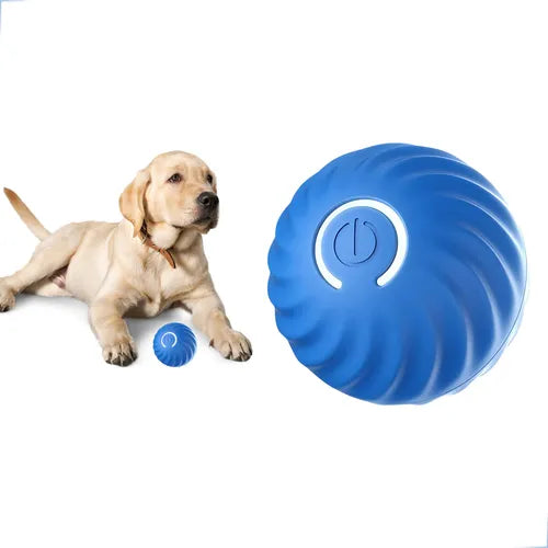 Bolinha Interativa Pet Usb Recarregável