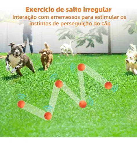 Bolinha Interativa para Cães e Gatos - Brinquedo Resistente Pet Grande
