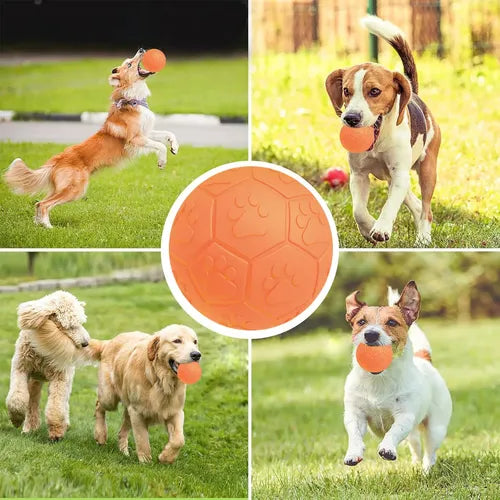 Bolinha Interativa para Cães e Gatos - Brinquedo Resistente Pet Grande
