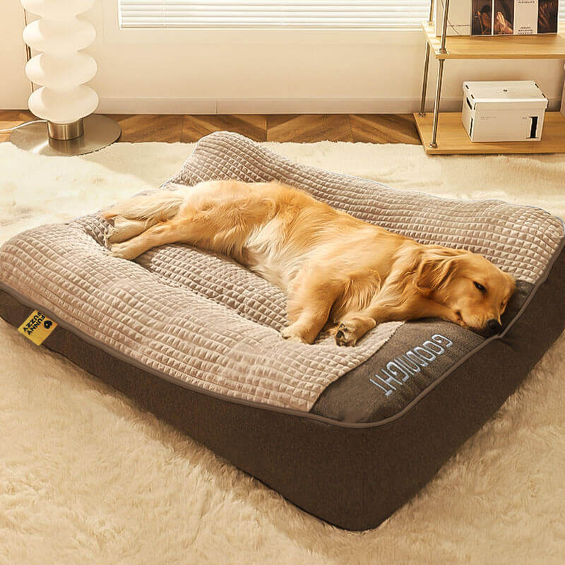 Cama com Suporte para Corpo Inteiro e Proteção para Coluna
