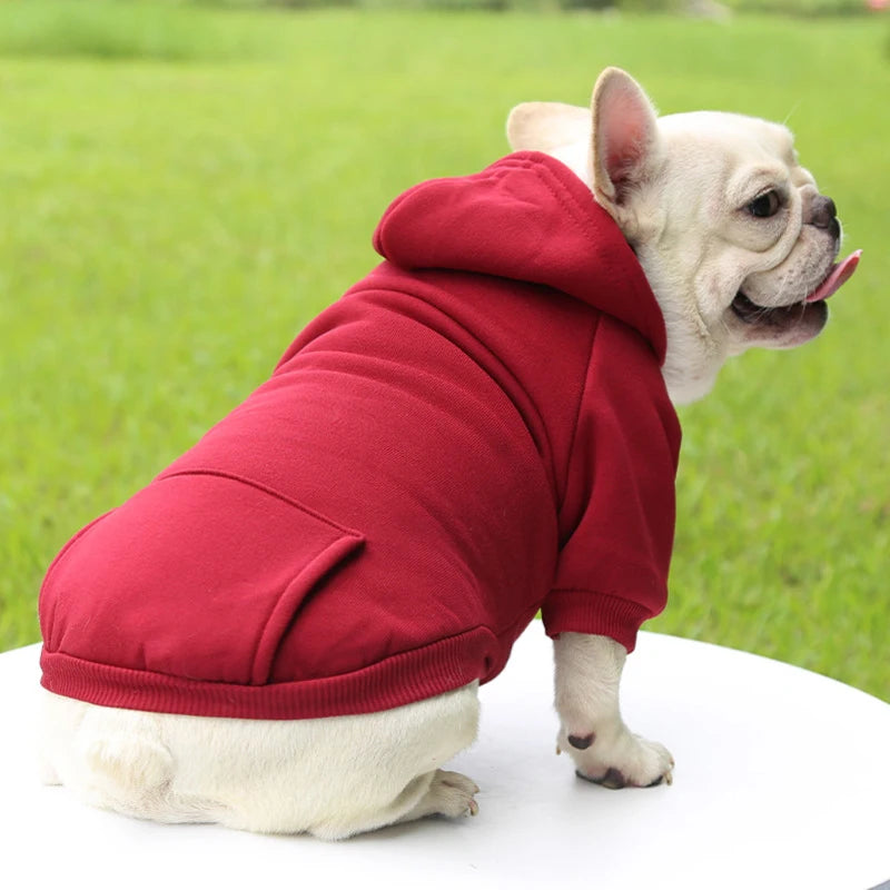 Roupa Outono e Inverno - Espessamento quente, dois pés com capuz - PolloPets