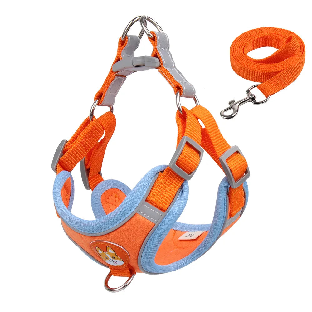 Conjunto de coleira e arreios - Ajustável, para portes pequenos - PolloPets