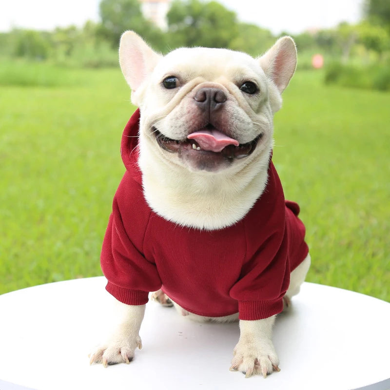 Roupa Outono e Inverno - Espessamento quente, dois pés com capuz - PolloPets