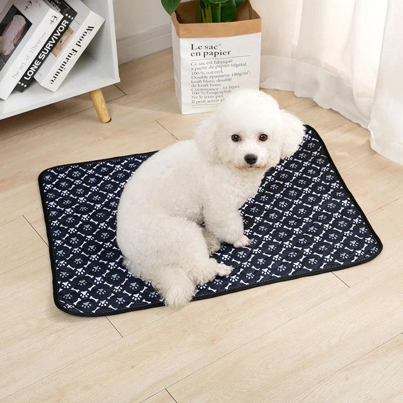 Almofada Higiênica para cães laváveis e reutilizáveis. - PolloPets