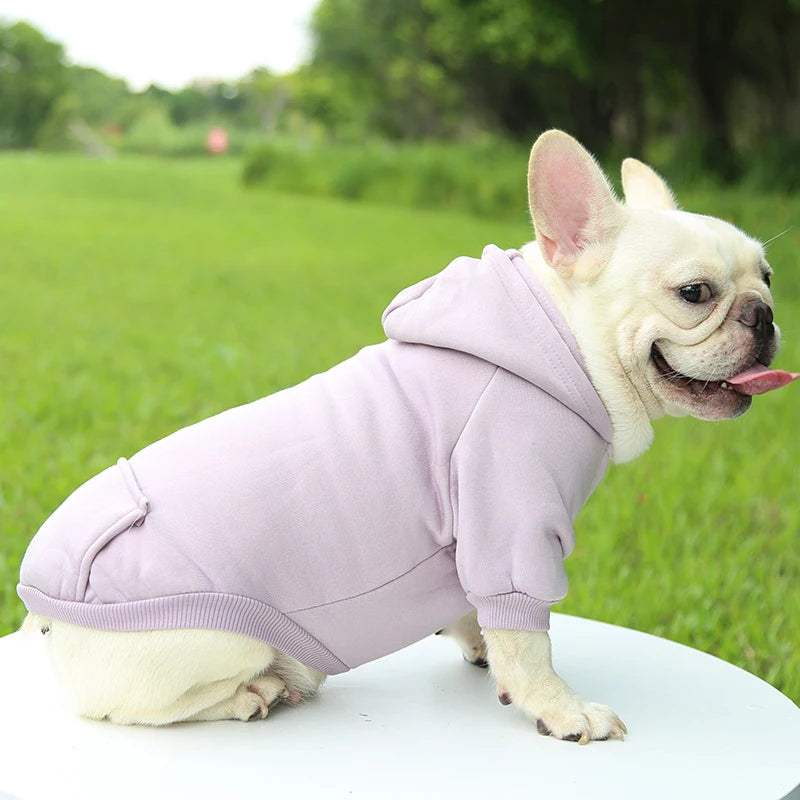Roupa Outono e Inverno - Espessamento quente, dois pés com capuz - PolloPets