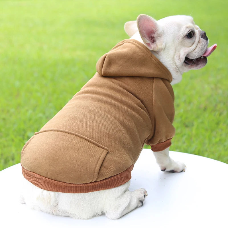 Roupa Outono e Inverno - Espessamento quente, dois pés com capuz - PolloPets