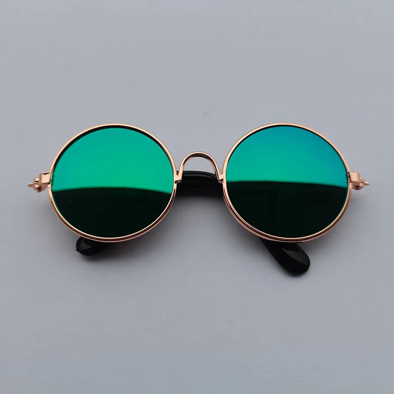 Óculos de sol vintage redondo - PolloPets