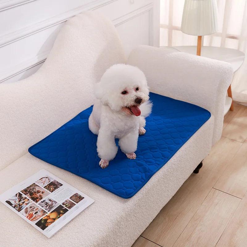 Almofada Higiênica para cães laváveis e reutilizáveis. - PolloPets