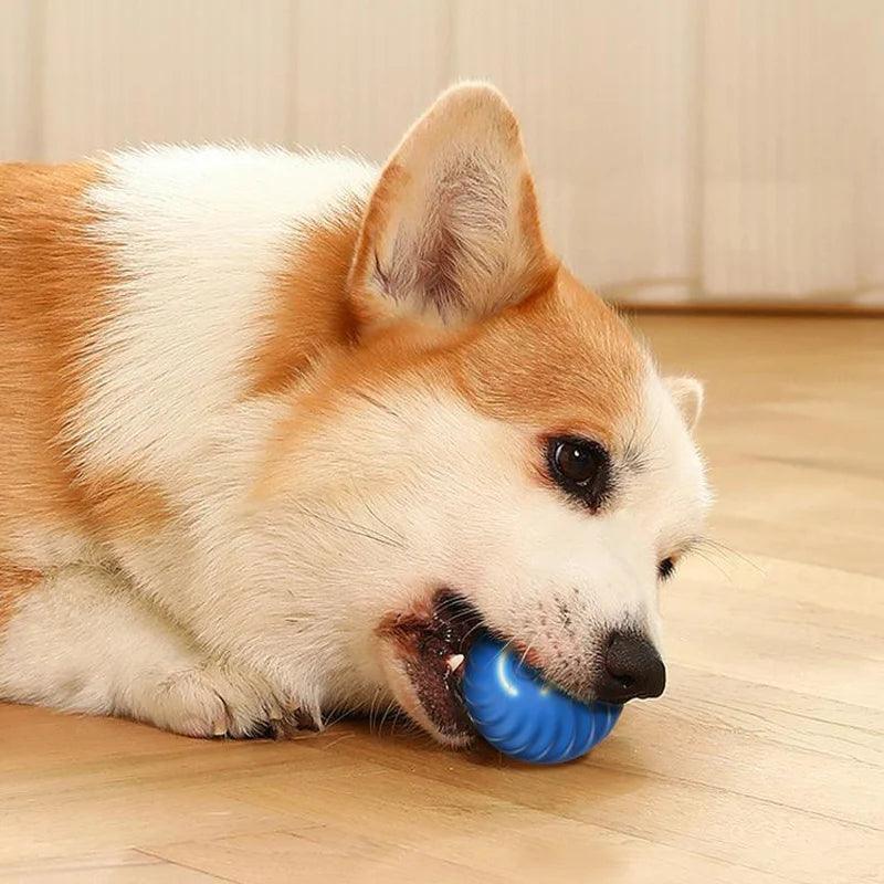 Bola interativa com movimentos automáticos. - PolloPets