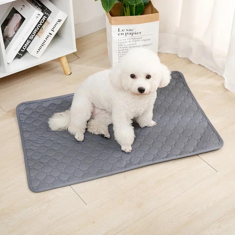 Almofada Higiênica para cães laváveis e reutilizáveis. - PolloPets