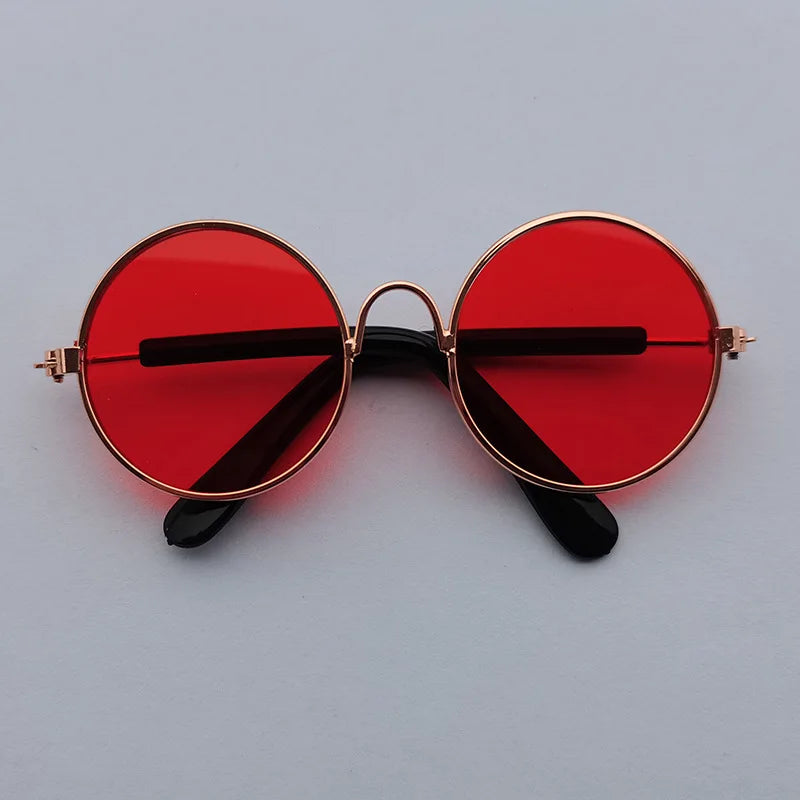 Óculos de sol vintage redondo - PolloPets