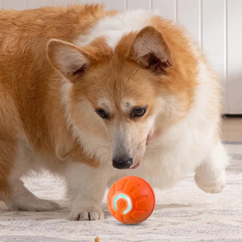 Bola interativa com movimentos automáticos. - PolloPets