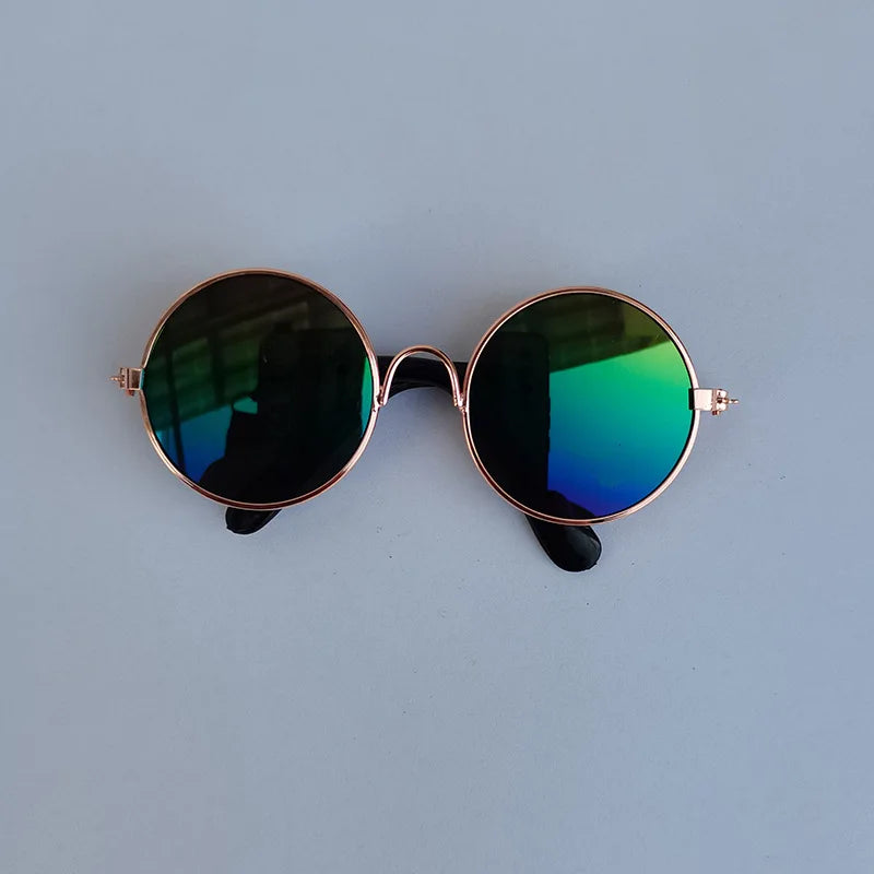 Óculos de sol vintage redondo - PolloPets