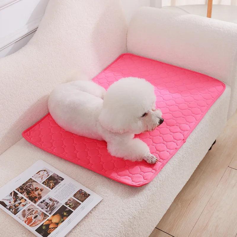 Almofada Higiênica para cães laváveis e reutilizáveis. - PolloPets