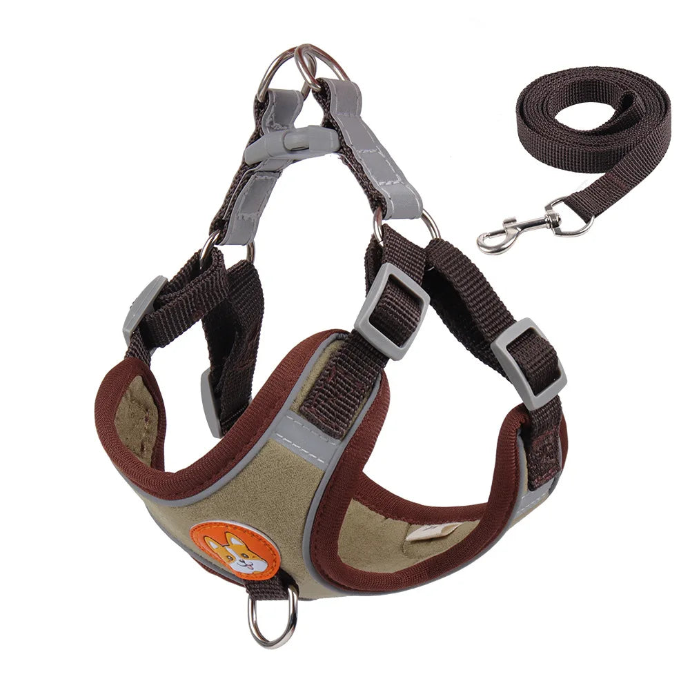 Conjunto de coleira e arreios - Ajustável, para portes pequenos - PolloPets