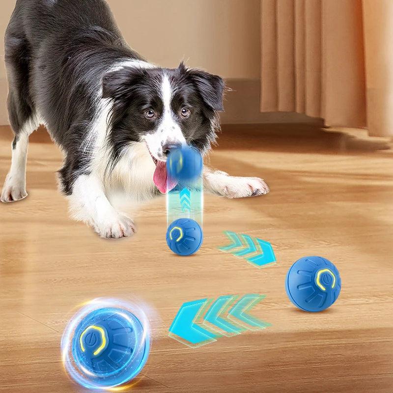 Bola interativa com movimentos automáticos. - PolloPets