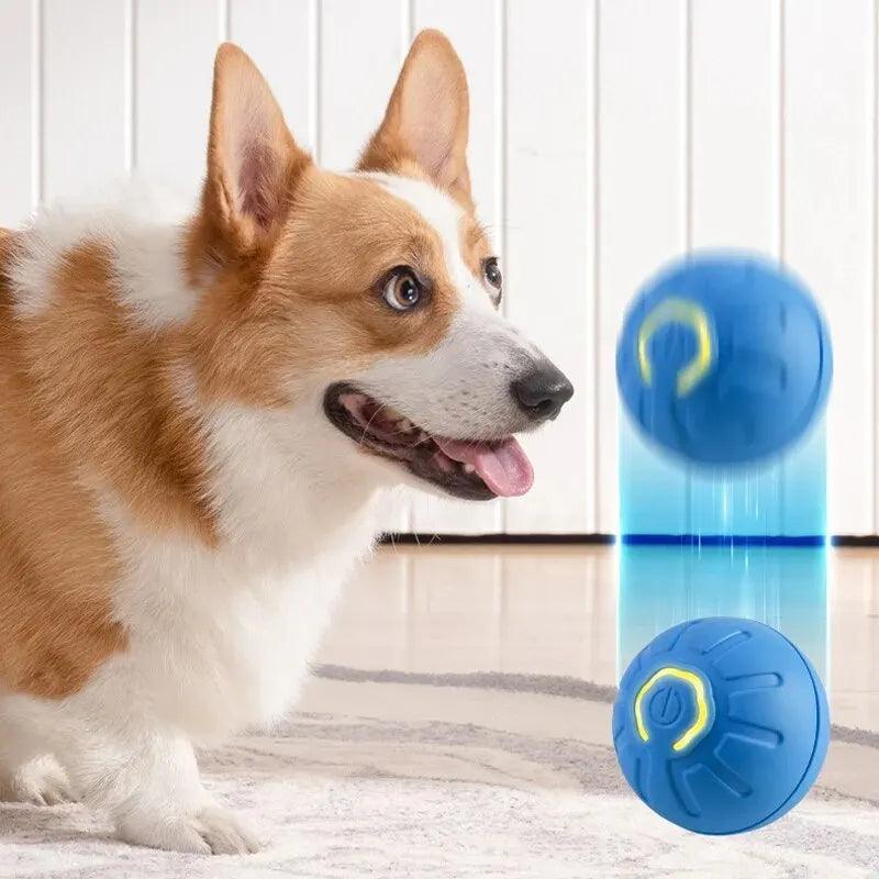 Bola interativa com movimentos automáticos. - PolloPets