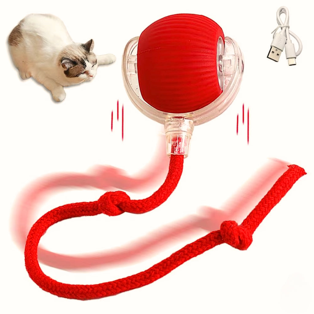 Bolinha Interativa Giratória Brinquedo Recarregável Cão Gato