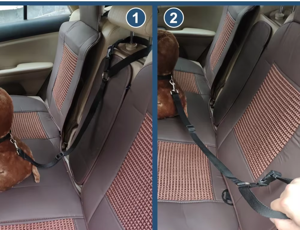 Cinto de segurança para carro banco traseiro, ajustável - PolloPets