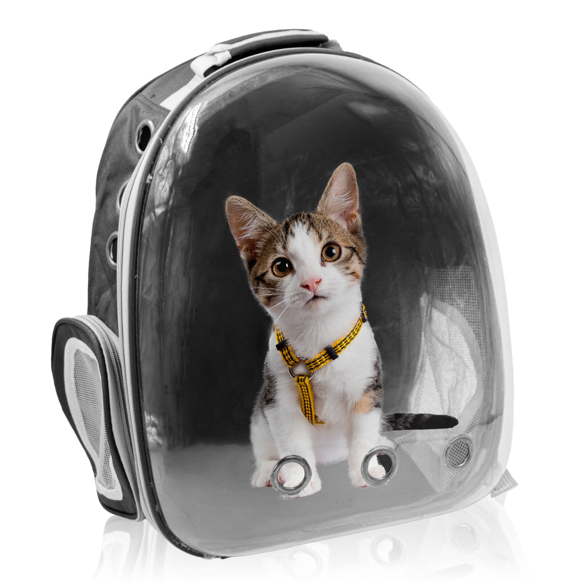 Mochila Pet Visão Panorâmica Gato Cachorro