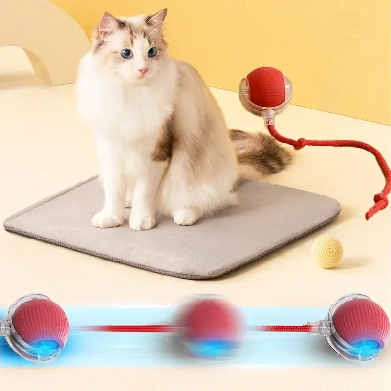 Bolinha Interativa Giratória Brinquedo Recarregável Cão Gato