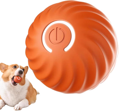Bolinha Interativa Pet Usb Recarregável
