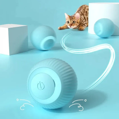 Bolinha Interativa Pet Usb Recarregável