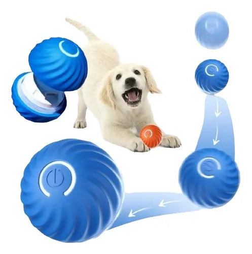 Bolinha Interativa Pet Usb Recarregável