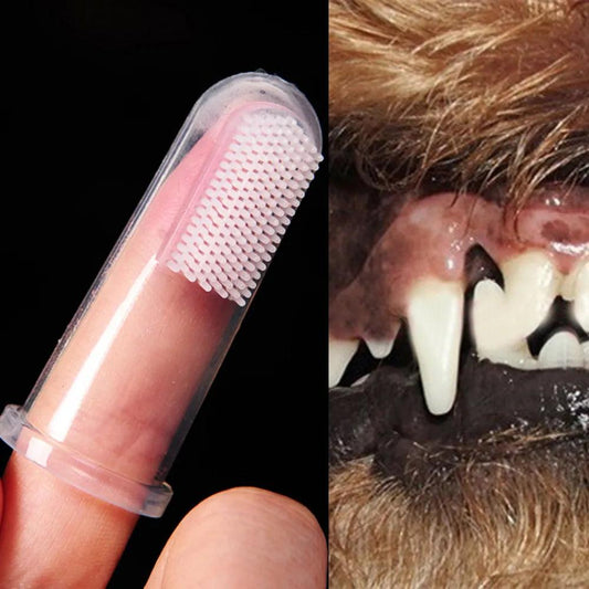 Escovas de Dedo de Silicone - Limpadores de Dentes de Cerdas Macias - PolloPets