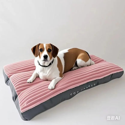 Almofada de veludo para portes médios e grandes - PolloPets
