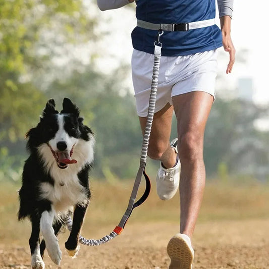 Trela retrátil, mãos livres, para corrida - PolloPets