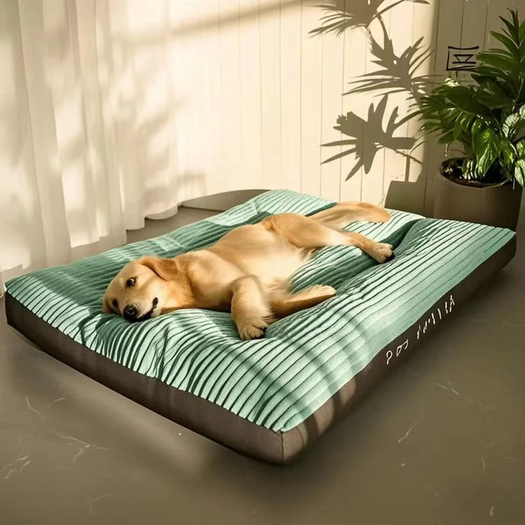 Almofada de veludo para portes médios e grandes - PolloPets