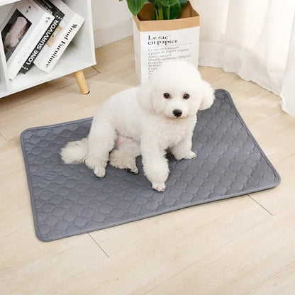 Almofada Higiênica para cães laváveis e reutilizáveis. - PolloPets