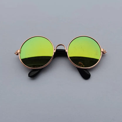 Óculos de sol vintage redondo - PolloPets