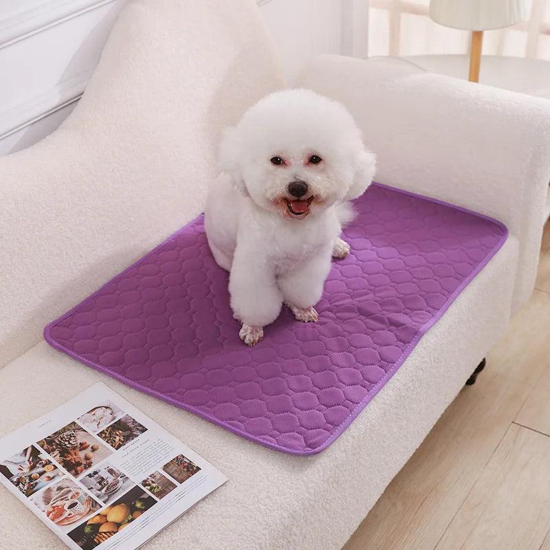 Almofada Higiênica para cães laváveis e reutilizáveis. - PolloPets