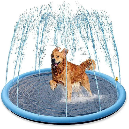 Piscina Inflável - Verão Pet - PolloPets
