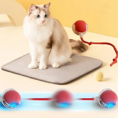Bolinha Interativa Giratória Brinquedo Recarregável Cão Gato